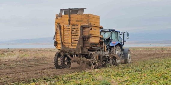 Adilcevaz’da Pancar Sökümü Hız Kesmeden İlerliyor