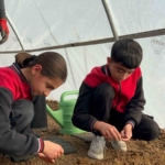 Elazığ'da Uyuşturucuya Karşı Sert Önlemler: 16 Kişi Tutuklandı thumbnail