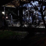 Elazığ Barosu ve Çocuk Hakları Komisyonu'ndan Narin Güran İçin Adliye Önünde Açıklama thumbnail