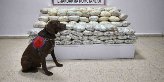 Başkale’de 60 Kilo Uyuşturucu Operasyonu: Uyuşturuculara Geçit Yok!