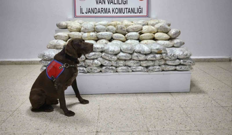 baskalede-60-kilo-uyusturucu-operasyonu-uyusturuculara-gecit-yok-z5NNGaYb.jpg