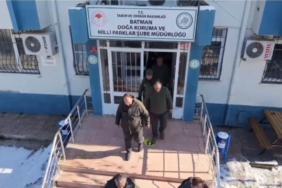 batmanda-dogadaki-yaban-hayvanlarina-ozel-yem-dagitimi-yapildi-2Ybz3NPs.jpg
