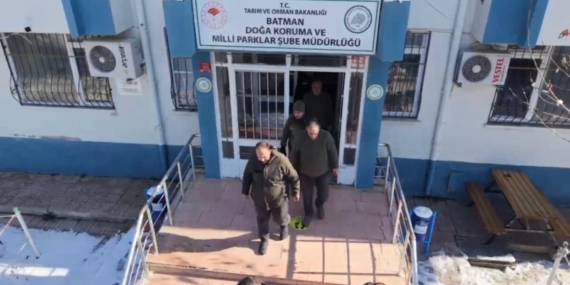 Batman’da Doğadaki Yaban Hayvanlarına Özel Yem Dağıtımı Yapıldı