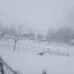 Batman Sanayi Sitesi'nde Hava Boşluğunda Mahsur Kalan Kedinin Kurtuluş Hikayesi thumbnail