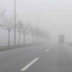 YKS'de Babası Çiçekle Karşıladı, Çimen 'Kim Milyoner Olmak İster?'de 100 Bin TL Kazandı! thumbnail