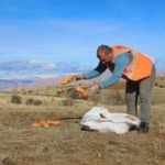 Elazığ'da Geleceğe Yatırım: Yeni Spor Branşlarıyla Dengede Kalmak thumbnail