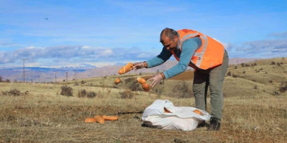 Elaızığ’da Doğaya Yeni Bir Hayat: Yem Bırakıldı
