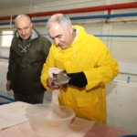 Elazığ’da çocukları olmayan çift koruyucu aile aldu: Kızım bana dünyada cenneti yaşattı thumbnail