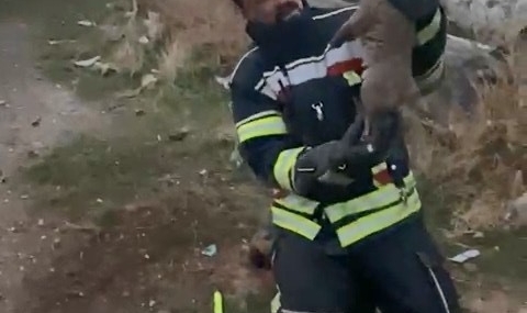 Elazığ’da Duygusal Kurtarma Operasyonu: Umutlar Yeniden Yeşerdi