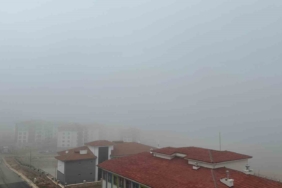 elazigda-gorus-mesafesini-azaltan-yogun-sis-etkili-ScWBSQwq.jpg