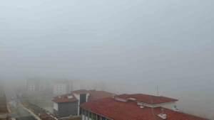 elazigda-gorus-mesafesini-azaltan-yogun-sis-etkili-ScWBSQwq.jpg