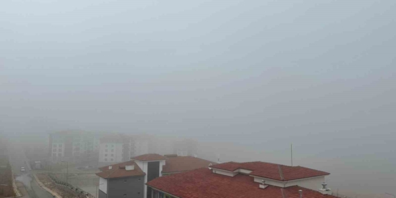 Elazığ’da Görüş Mesafesini Azaltan Yoğun Sis Etkili!