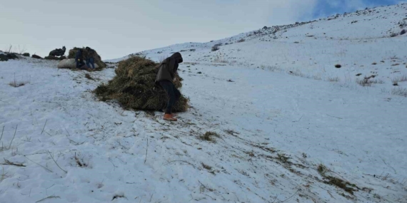 Erciş’te Yüzyıllık Kış Geleneği: Kızaklarla Taşınan Otlar
