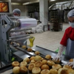 Karacadağ Pirinci: Volkanik Arazinin Zengin Mineral Mirası thumbnail