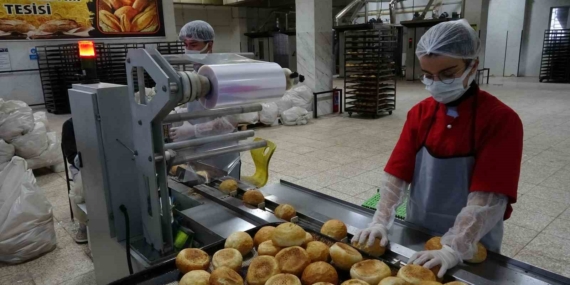 Fabrika Modundaki Lisenin Yıllık Cirosu 1,5 Milyon TL!