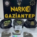 Mardin'de Lüks Otomobilin Alev Alev Yanma Anları thumbnail