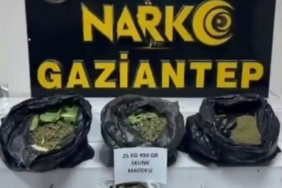 gaziantepte-22-kilo-skunk-ve-cok-sayida-silah-ele-gecirildi-7-gozalti-soku-yisCzEf4.jpg