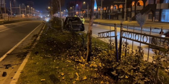 Köpeği Kurtarmak İçin Refüje Çıkan Sürücünün Hikayesi