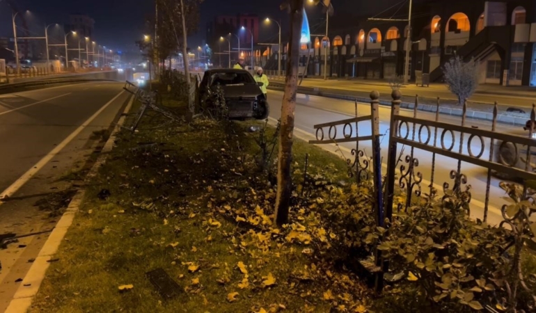 kopegi-kurtarmak-icin-refuje-cikan-surucunun-hikayesi-E7akbgrx.jpg
