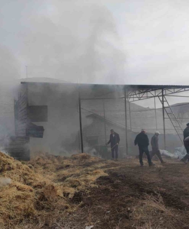 malatyadaki-besi-ciftliginde-yangin-olayin-detaylari-ve-sonuclari-NeEaEq2T.jpg