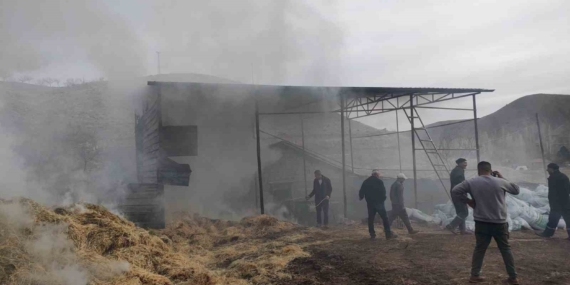 Malatya’daki Besi Çiftliğinde Yangın: Olayın Detayları ve Sonuçları