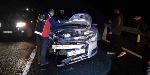 Mardin’de Otomobil Çarpmasıyla Telef Olan Atın Hikayesi