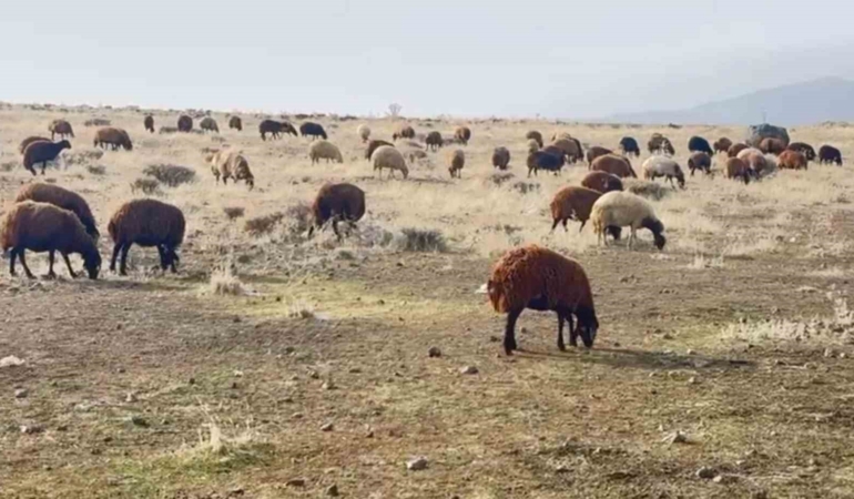patnosta-kar-olmamasi-ciftcilerin-yuzunu-guldurdu-iklim-degisikligi-etkileri-N2uermPU.jpg