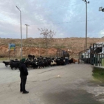 Benzin Fiyatlarına 1 Lira 73 Kuruş İndirim Geldi thumbnail