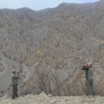 Mardin'de İki Otomobilin Çarpışması Sonucu 8 Kişi Yaralandı thumbnail