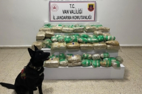 vanda-51-kilo-skunk-uyusturucu-operasyonu-detaylar-ve-gelismeler-xNRwmMWr.jpg
