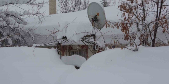 Bitlis’te Kar Bastı: Tek Katlı Evler Kayboldu, 314 Köy Yolu Ulaşıma Kapandı