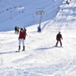 Yüksekova’da Ahırın Çökmesiyle Hayvanlar İçin Seferberlik Başladı thumbnail