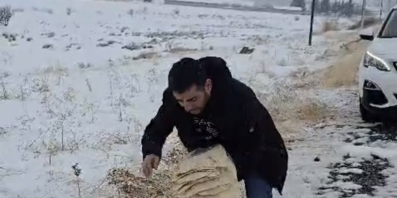 Çermik’te Yaban Hayvanları İçin Doğa Dostu Yemleme Faaliyeti