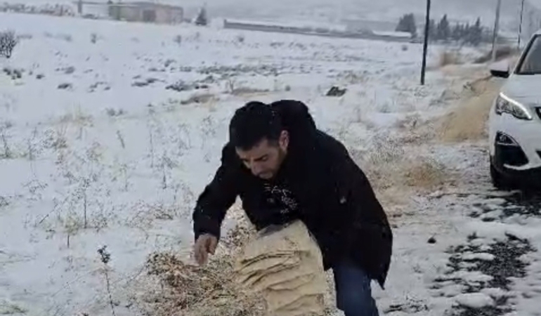 cermikte-yaban-hayvanlari-icin-doga-dostu-yemleme-faaliyeti-8zLhNJwI.jpg