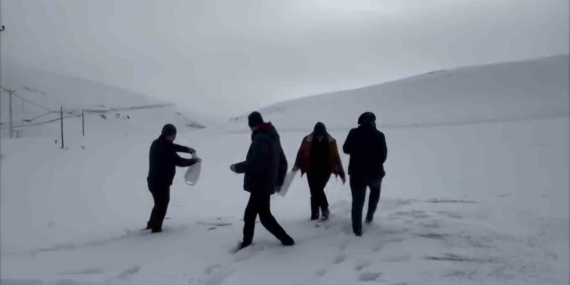 Darende’deki Öğrenciler ve Öğretmenler Yaban Hayvanlarını Unutmadı