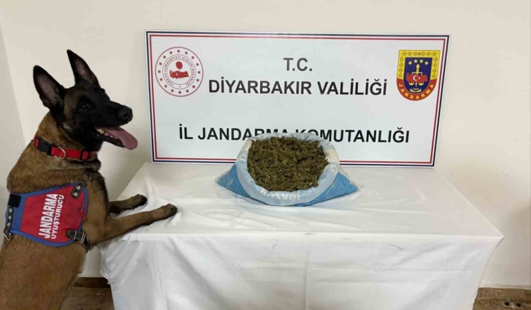 diyarbakirda-41-kilo-esrar-operasyonu-uyusturucuya-gecit-yok-5GjmumW1.jpg