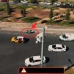 Dicle'de Yüzde 50 Hibeli Modern Bağcılık Araçları Desteği Başvuruları Açıldı thumbnail