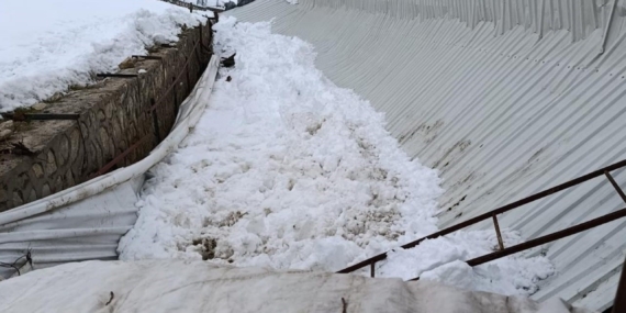 Elazığ’da Ahır Tavanı Çöktü: Şok Eden Olay