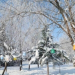 Elazığ’da jandarmanın 185. yılı kutlandı thumbnail