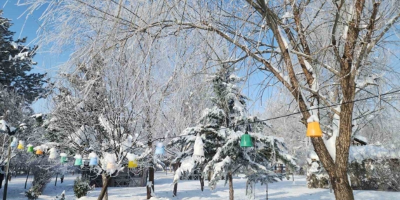 Elazığ’da Dondurucu Soğuklar: Karakoçan’da Termometreler -22 Dereceye Ulaştı