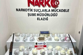 elazigda-uyusturucu-tacirlerine-sok-baskin-4-kisi-gozaltinda-17gcOlOS.jpg