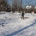 Elazığ'da Milli Ağaçlandırma Günü'nde 23 Bin Fidan Ücretsiz Dağıtıldı thumbnail