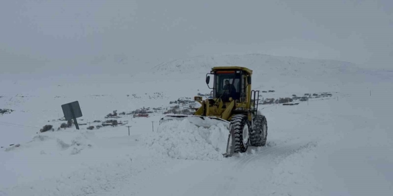 Kars’ta Kar Kaplanlarının 2.100 Rakımda Zorlu Mücadelesi