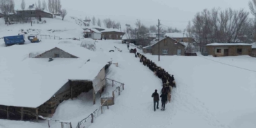 keci-surusu-4-saatlik-zorlu-yolculukla-koye-ulasmanin-hikayesi-BwhD3dGM.jpg