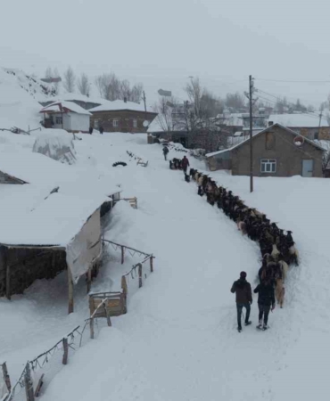 keci-surusu-4-saatlik-zorlu-yolculukla-koye-ulasmanin-hikayesi-BwhD3dGM.jpg