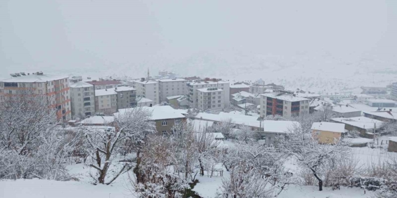 Kulp’ta Kar Fırtınası: Köy Yolları Kapatıldı, İlçe Trafiği Kilitlendi