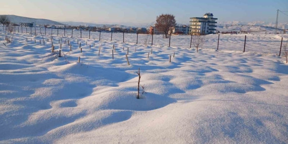 Kulp’ta Kar Yağışı: Çiftçiler İçin Yeni Bir Umut Doğdu