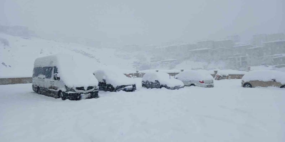 Kulp’ta Tarihi Kar Yağışı: Araçlar Beyaz Battaniye Altında Kaldı