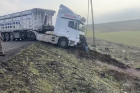 mardinde-kontrolden-cikan-tir-yol-kenarina-savruldu-detaylar-ve-son-gelismeler-LjE8bbxn.jpg