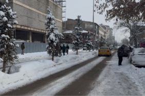 patnosta-yeniden-baslayan-kar-yagisi-etkilerini-gosterdi-NOkOtqdU.jpg